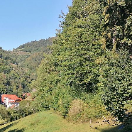 Huberhof Pfaffenbach Villa Gengenbach Exteriör bild