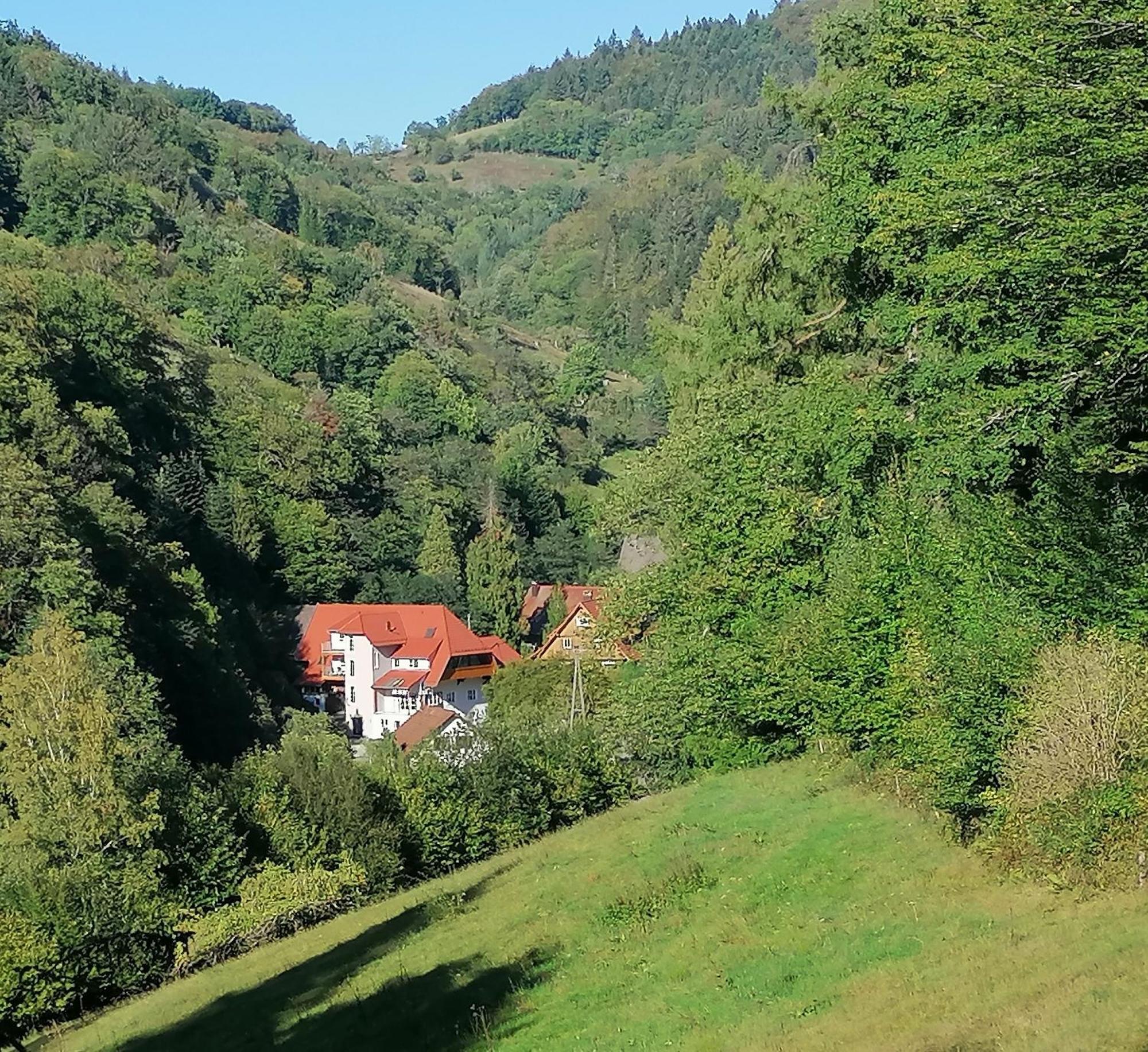 Huberhof Pfaffenbach Villa Gengenbach Exteriör bild